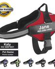 Anti-Choke Dog Harness